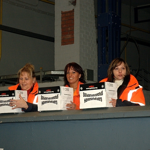 DSC_4463_R_500.jpg
