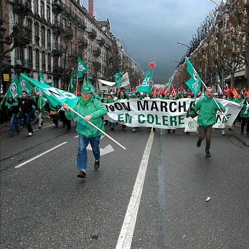 DSC_4941_R_500.JPG