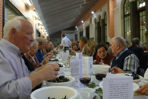 ELEGAST-MOSSELEN.gif ELEGAST-MOSSELEN.gif