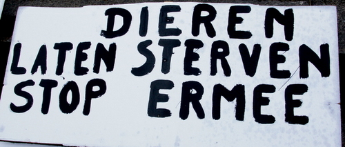 IMGP0423.JPG