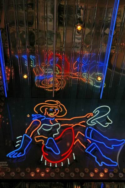 IMGP8222 NEON.jpg