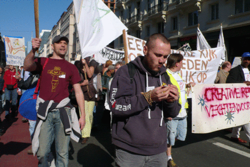 Click to begin slideshow MP-Wegloophuis-7.gif