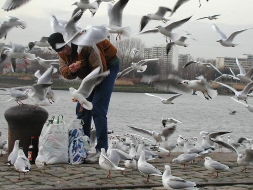 Click to begin slideshow P1010076Kade.jpg