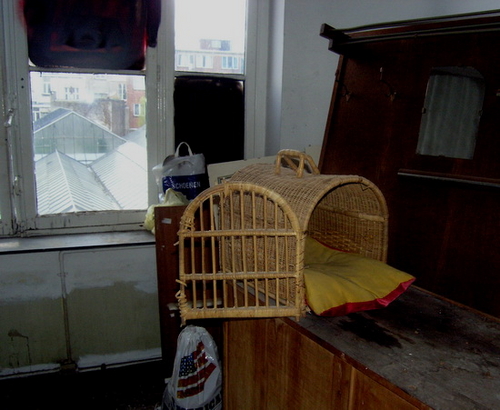 P3210092_resize.JPG