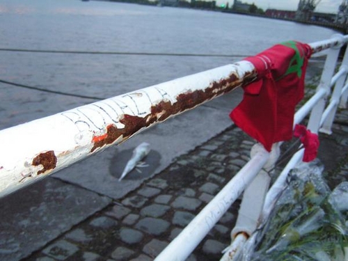 PICT0016.JPG