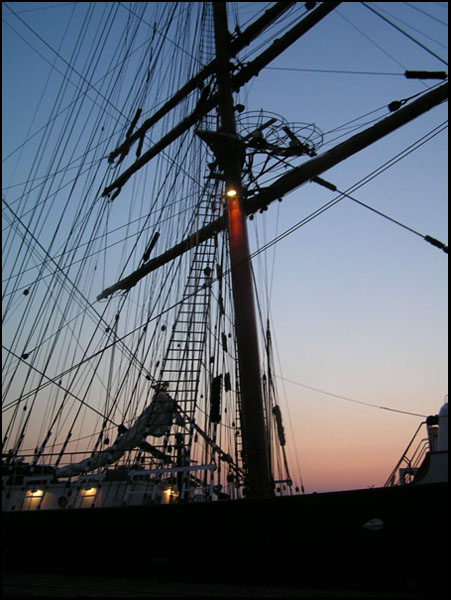 PICT0065.jpg