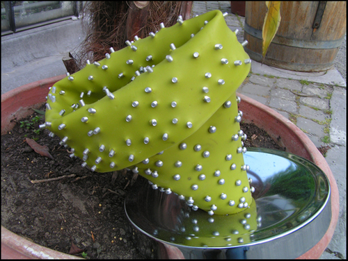 PICT0277.jpg