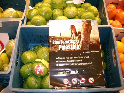 Palestinefoto.jpg Palestinefoto.jpg