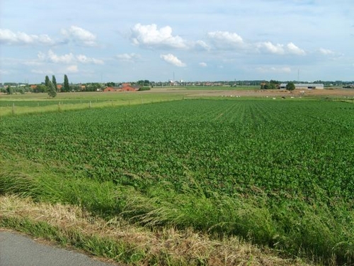 S5000016.JPG