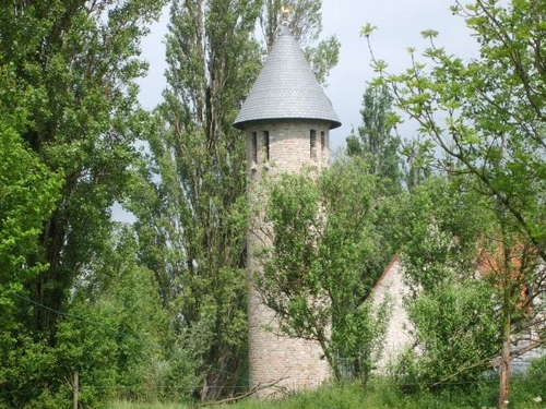 S5000441.JPG