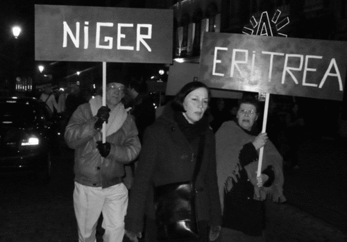 SE-NIGER-3.gif