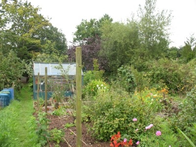 Click to begin slideshow Totnes20059.jpg
