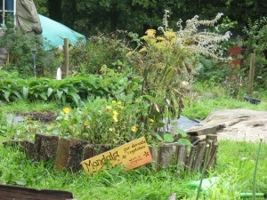 Click to begin slideshow Totnes20094.jpg
