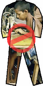 VTPropre_h280.jpg VTPropre_h280.jpg