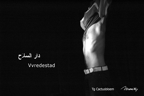Vvredestad foto.jpg Vvredestad foto.jpg