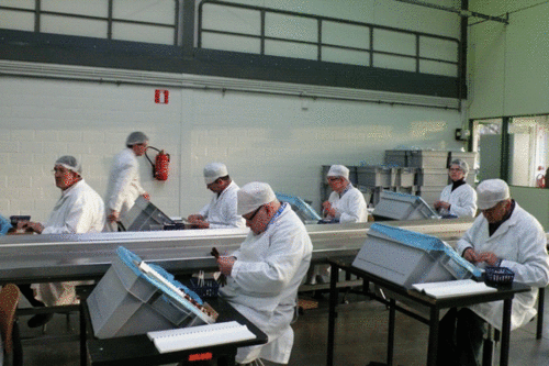 We-vijs-draai-klik-1.gif We-vijs-draai-klik-1.gif