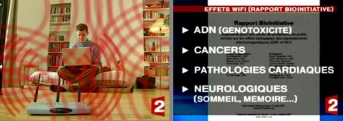 WiFi duo bioinitiative.jpg