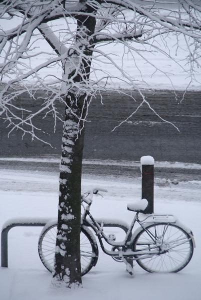 Click to begin slideshow Winterimpressies John Moussaiux 1.jpg