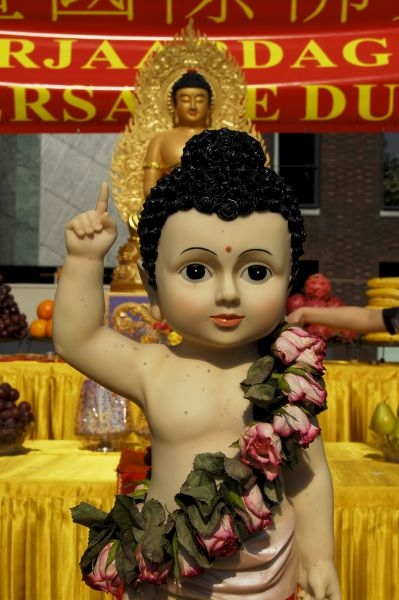 Click to begin slideshow _DSC6712.jpg