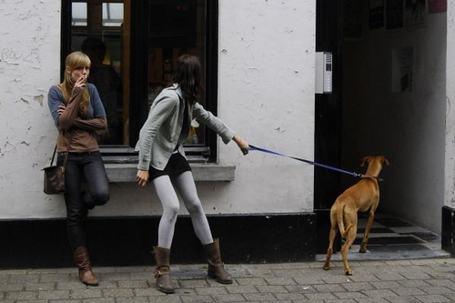 Click to begin slideshow _DSC6886.jpg