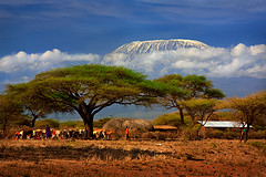 africa.jpg africa.jpg