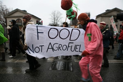 agricultural day (124).JPG