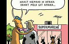 beeld stripverhaal.jpg beeld stripverhaal.jpg