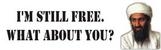 benaldenstillfree.jpg benaldenstillfree.jpg