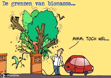 biomassa.jpg biomassa.jpg