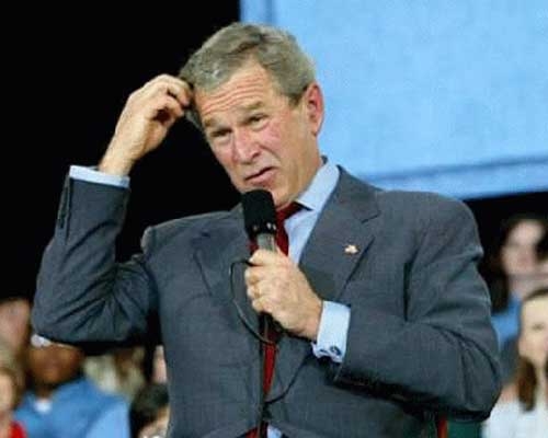 bush_lying.jpg