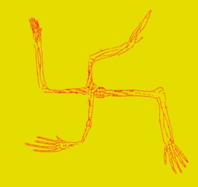 Click to begin slideshow daniel.jpg