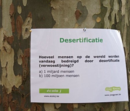 desertificatie 198.jpg