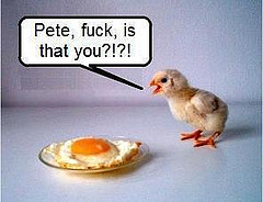 egg.jpg egg.jpg