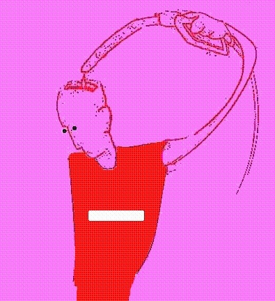 Click to begin slideshow faimmonde.jpg