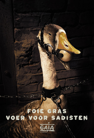 Click to begin slideshow foie gras1.jpg