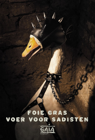foie gras2.jpg