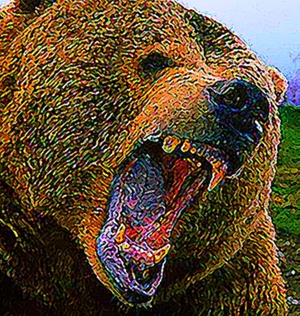 grizzly_zoom.jpg