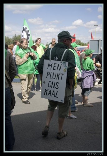 jpg_1_10_-18-38eb6.jpg