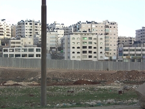 palestina_eline.jpg palestina_eline.jpg