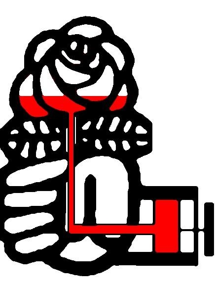 parti-socialiste-logo-rose.JPG