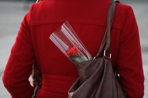 Click to begin slideshow schelde 119.jpg