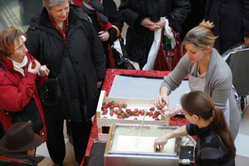 Click to begin slideshow schelde 186.jpg