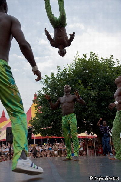 sfinks_circusbaobab_terrein5_resize.jpg