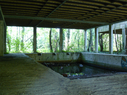swimming pool.jpg