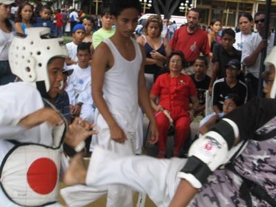 taekwando shotten.jpg