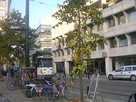 verkocht 008.jpg