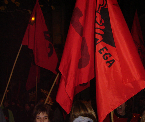 vlaggen.jpg