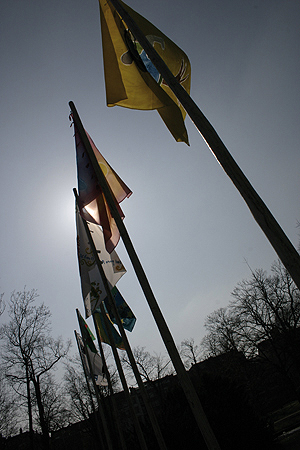 wf_bd_05.jpg