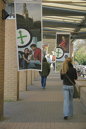 wf_bd_13.jpg